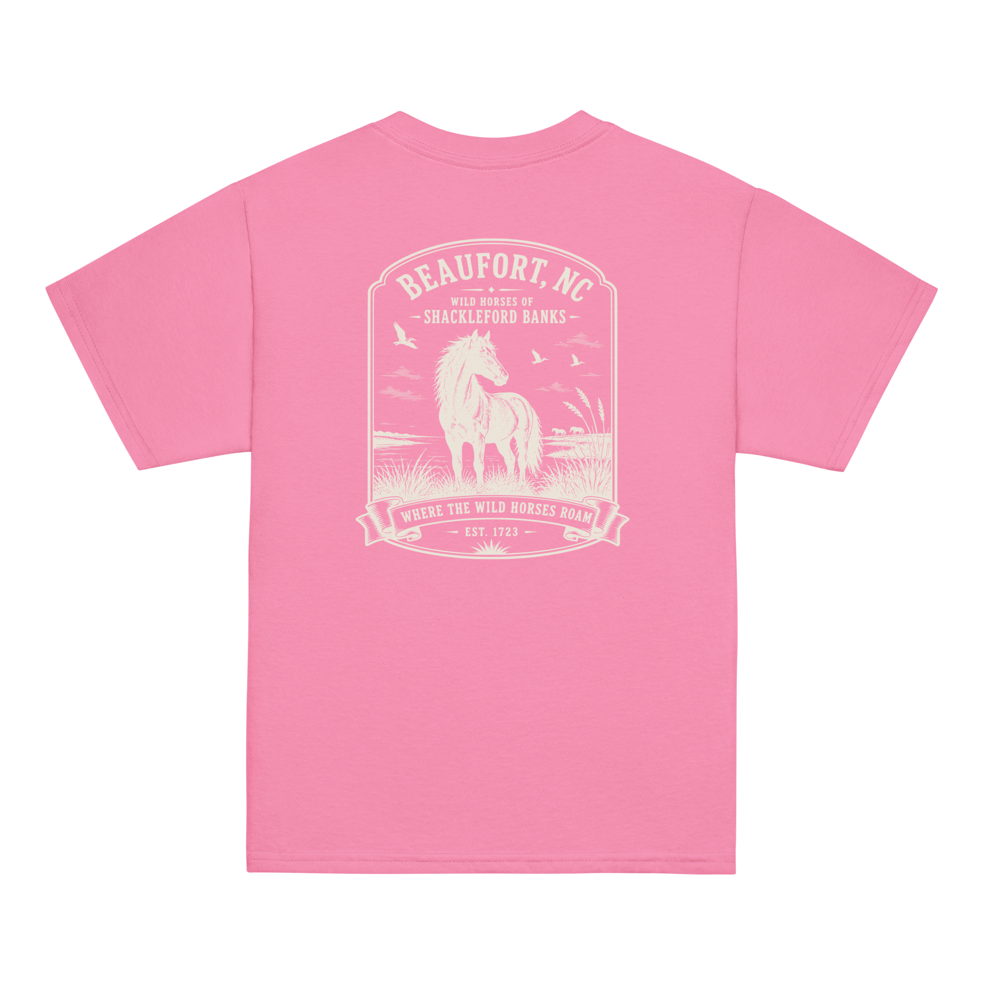 Beaufort, NC - Wild Horses Of Shackleford - Youth Classic Tee