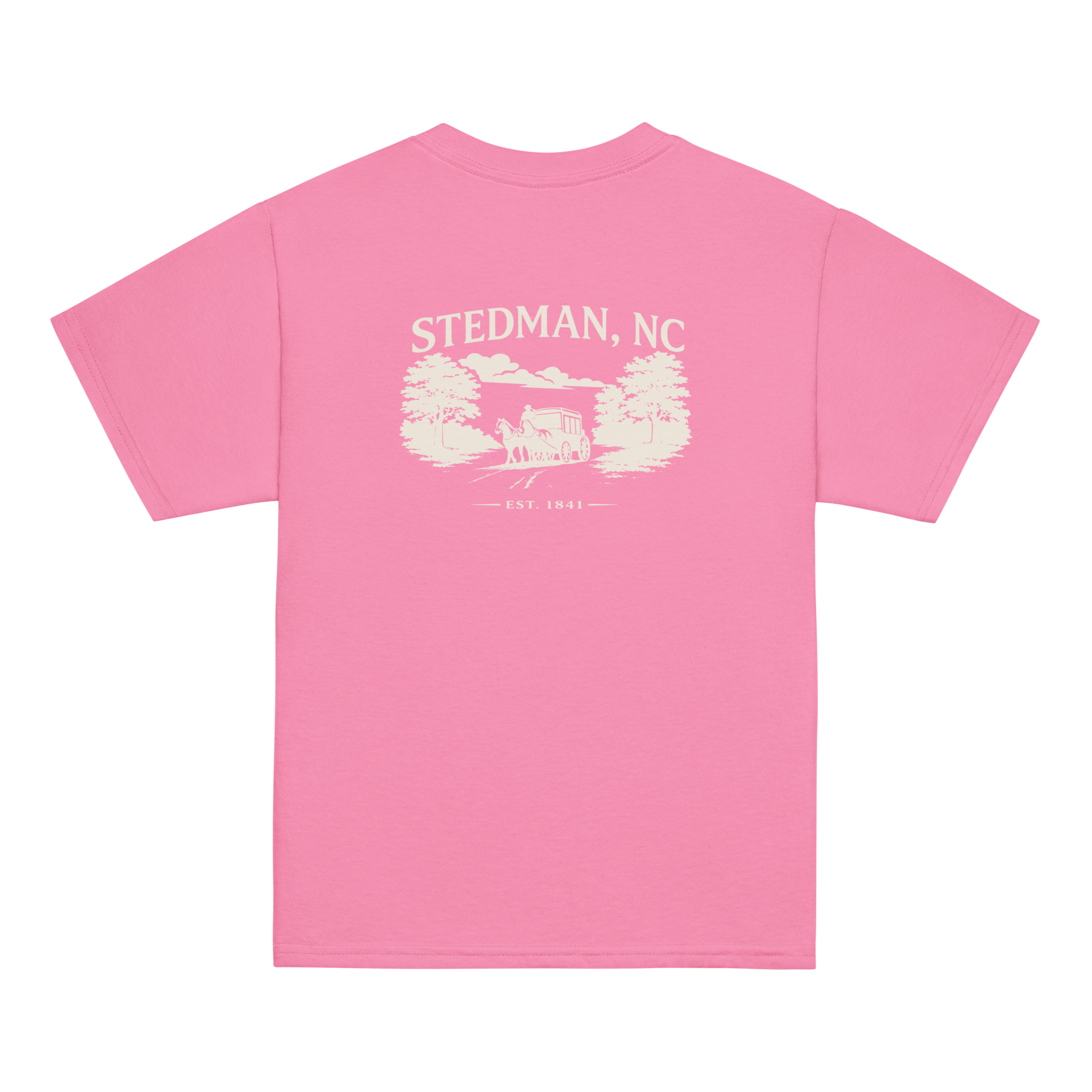 Stedman, NC - Stagecoach Town - Youth Classic Tee