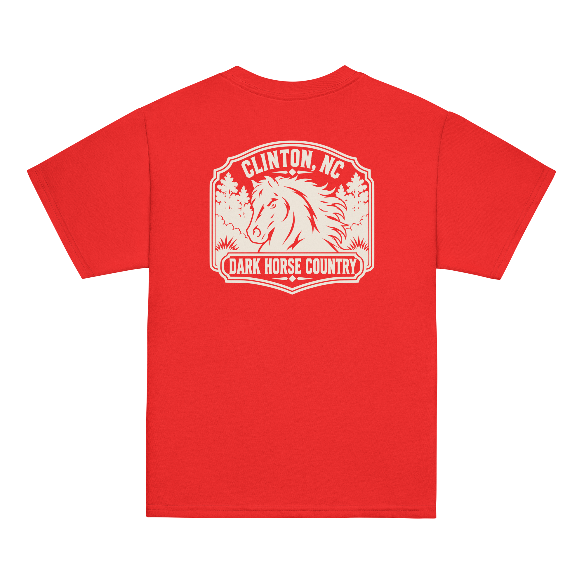 Clinton, NC - Dark Horse Country - Youth Classic Tee