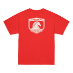 Clinton, NC - School Pride - Youth Classic Tee