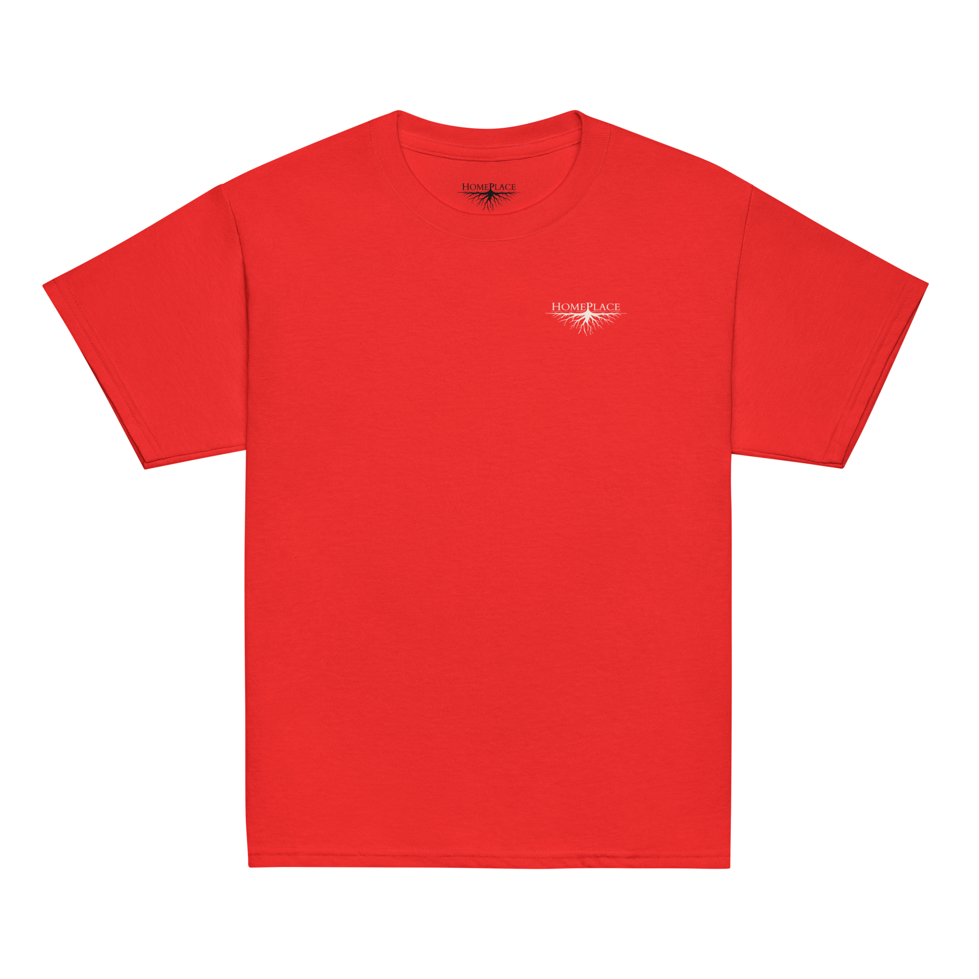 Clinton, NC - Downtown - Youth Classic Tee