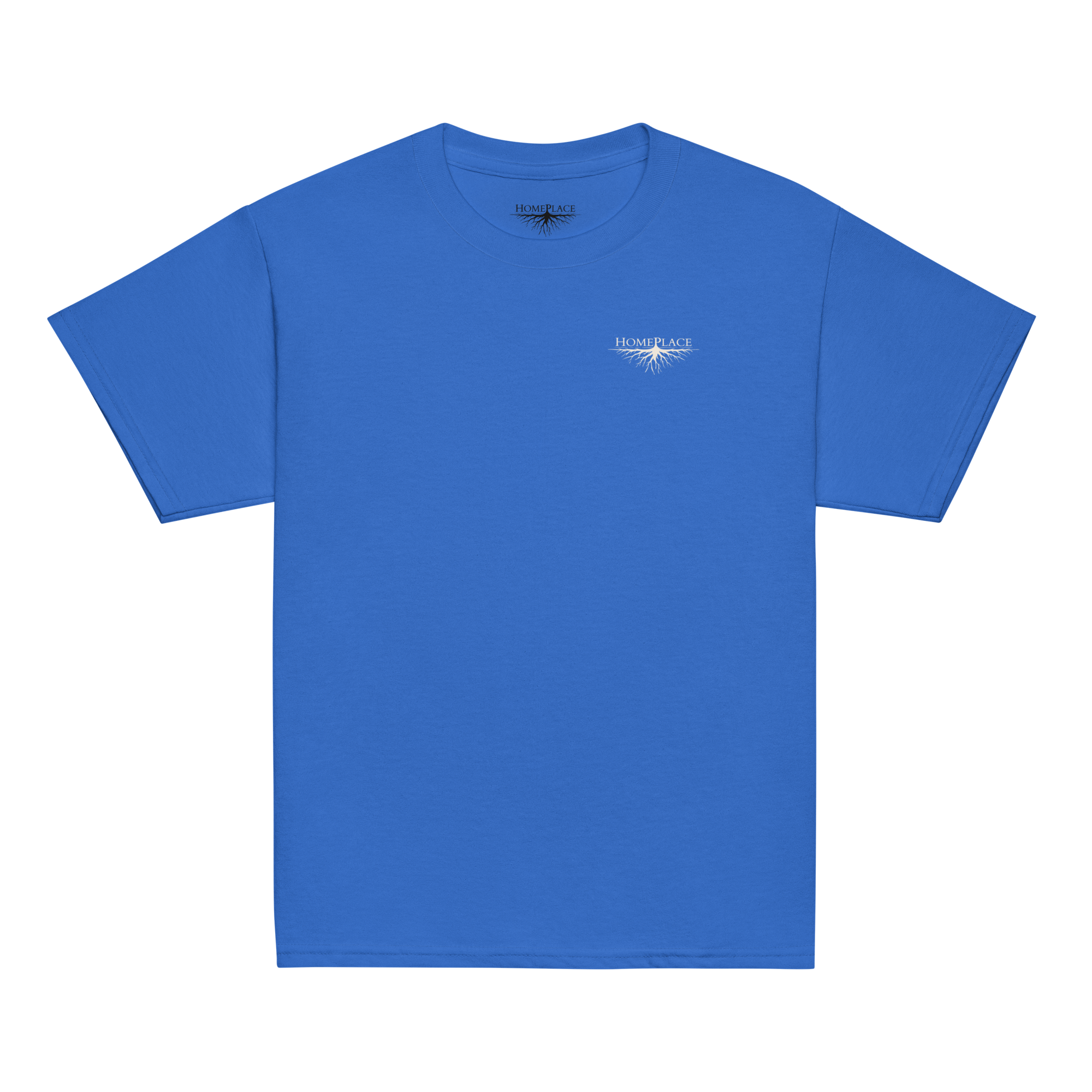 Falcon, NC - Camp Meeting - Youth Classic Tee